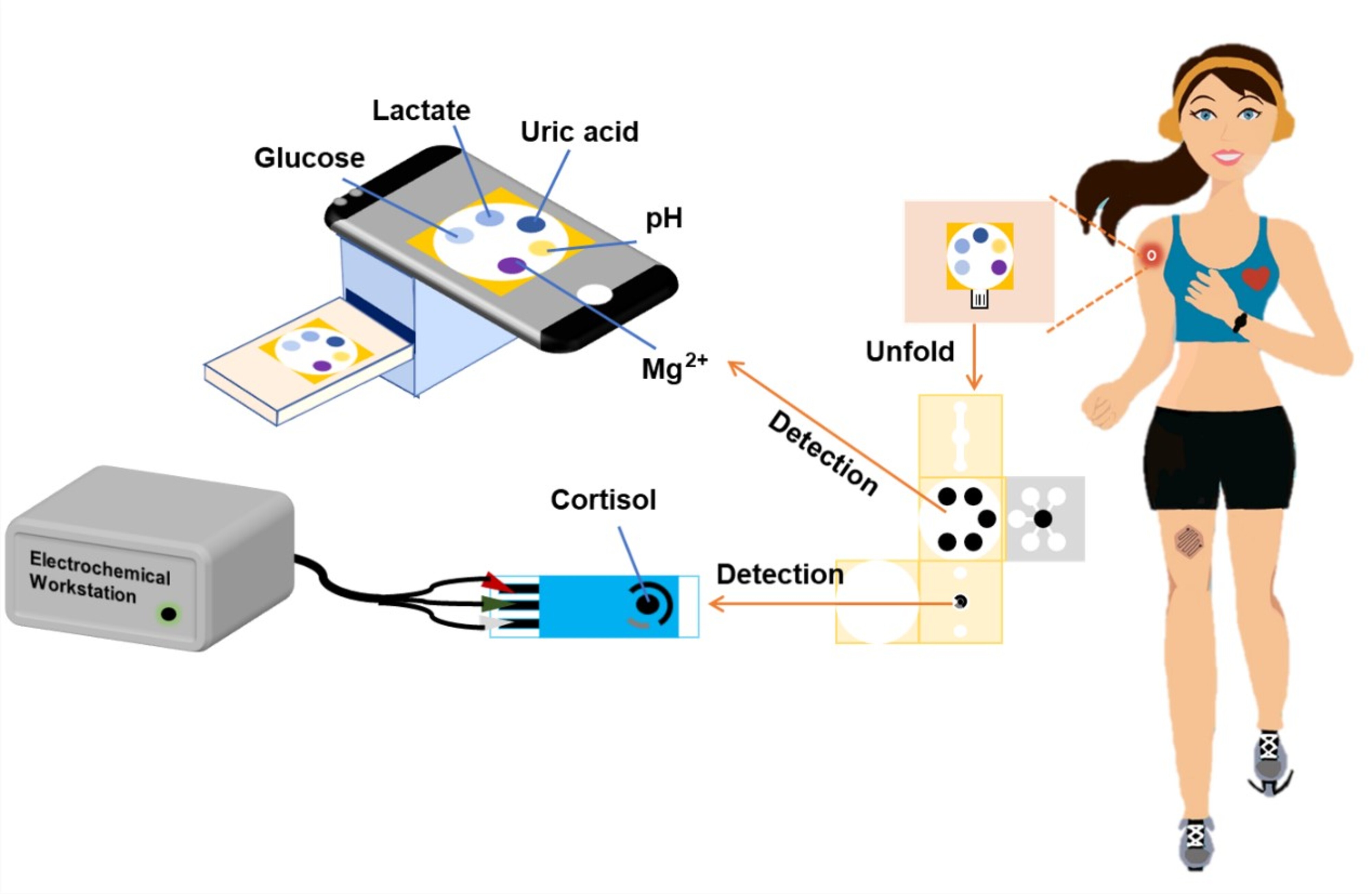 Fig.2 Wearable sweat sensor based on a 3D paper structure for simultaneous analysis of multiple biomarkers.jpg