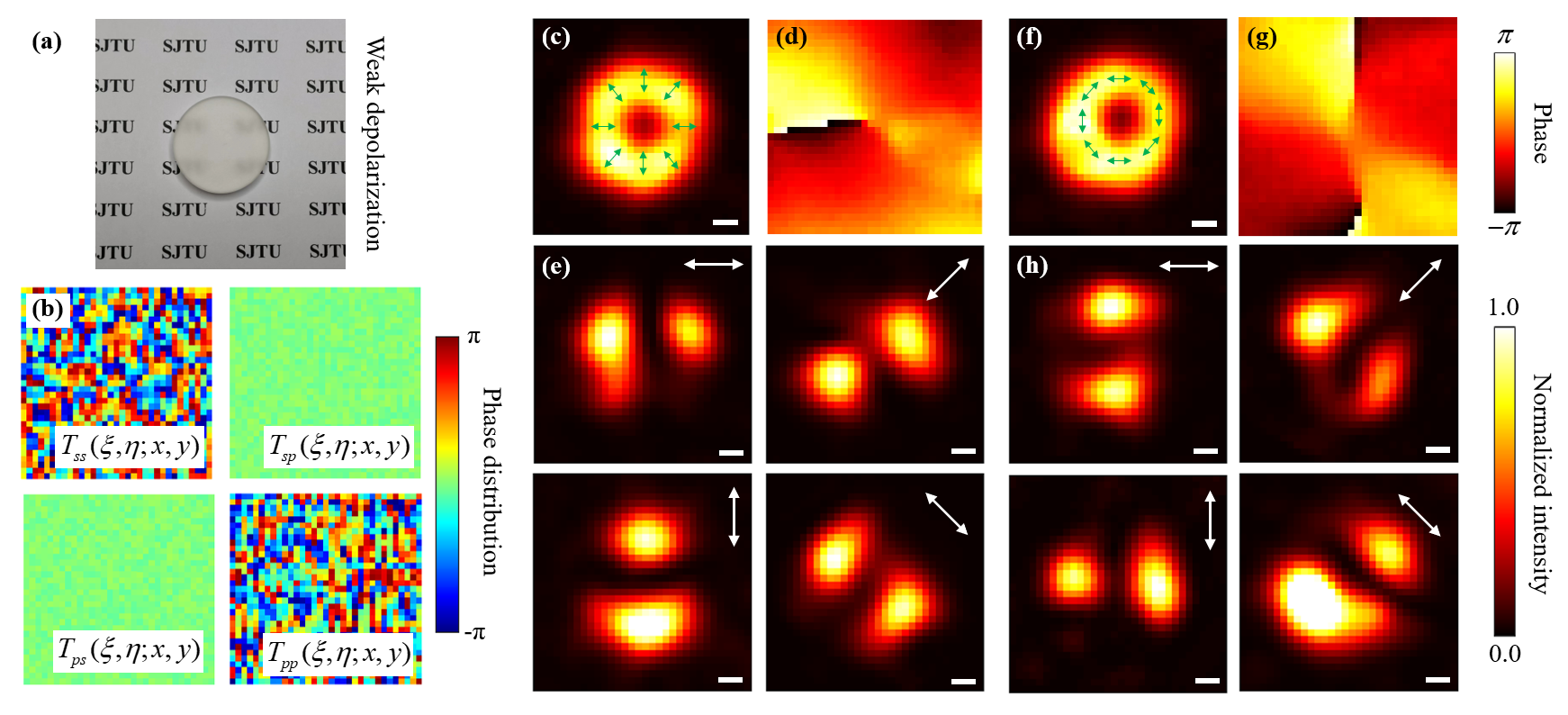 P4 Control of the polarization distribution and the orbital angular momentum of vector vortex beams.png